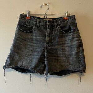 Everlane Grey Denim Shorts